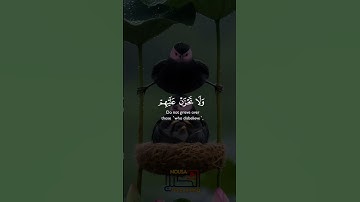 #تلاوة_خاشعة #المصحف #تلاوة_هادئة #قرأن_كريم #راحة_نفسية #اكسبلور