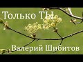 Только Ты - Валерий Шибитов (2020 4K with lyrics)