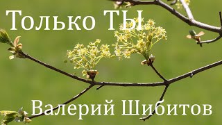 Video thumbnail of "Только Ты - Валерий Шибитов (2020 4K with lyrics)"