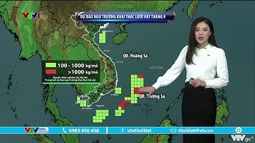 Bản tin thời tiết 9h10 - 07/09/2022: Ngư trường khai thác lưới vây tháng 9 | VTVWDB