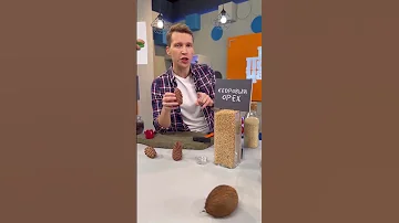 Не орех и не кедровый! Сборщики сдают эти семечки за 200 руб/кг, а в магазине 200 руб/100г Подпишись