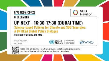 Science-based Policies for Climate and SDG Synergies — A UN DESA Global Policy Dialogue