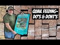 Quail Feeding-Do’s & Dont’s