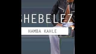 MSHEBELEZI | HAMBA KAHLE