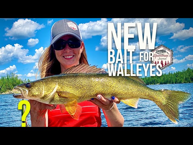 Tune-Up Tuesday  Fishing a Jerkbait for Walleye 