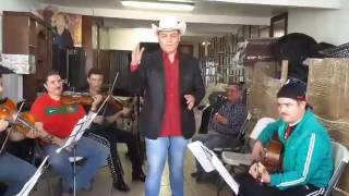 Video thumbnail of "Se Va Muriendo Mi Alma - Mariachi Nuevo Tecalitlan Ensayo"