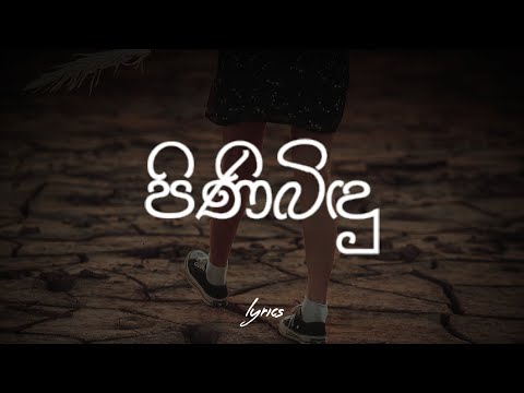 Pini Bindu ( පිනි බිඳු ) - Yuki Navaratne | Lyric video | Sri numbers