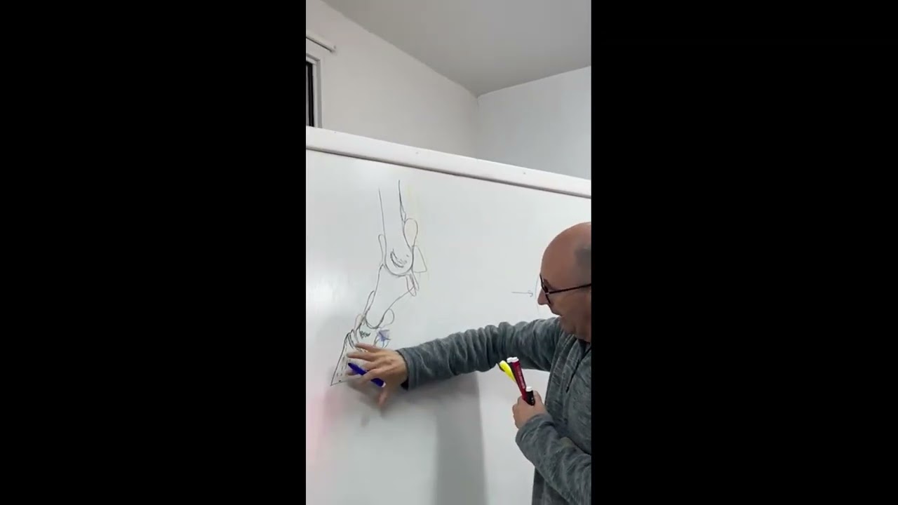 Anatomia del pie equino UMAZA2025