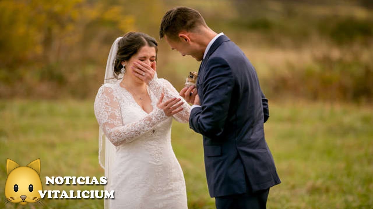 Суть Брака Фото