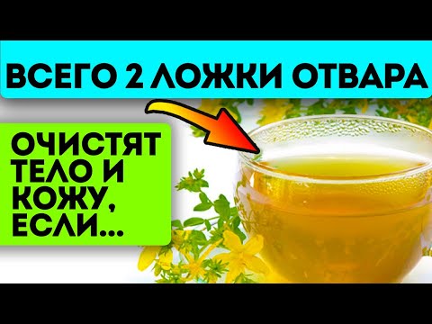 Расскажешь соседке - не поверит! Всего 0,5 ст. ложки травы залить водой и настоять на...