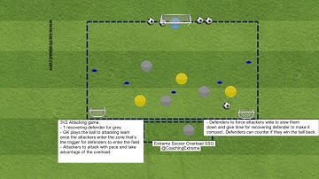 TacticalPedia_Project - ANIMATION 2