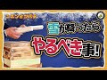 雪から巣箱を守る！【越冬・寒さ対策】　日本みつばちの養蜂 How to Beekeeping