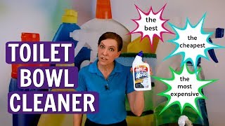 The Best, The Cheapest, and The Most Expensive Toilet Bowl Cleaner (TheWorks Product Review)