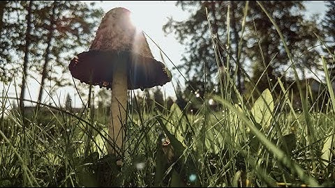 The Final Frontier: Season 4 Episode 6