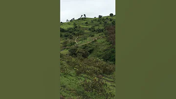 مناظر اثيوبيا بحر دار 