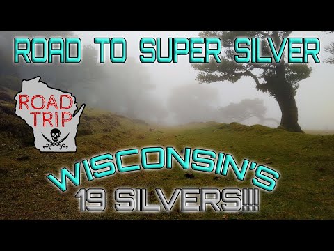 Pile of silver coins found in #Wisconsin by metal detectors #MetalDetecting