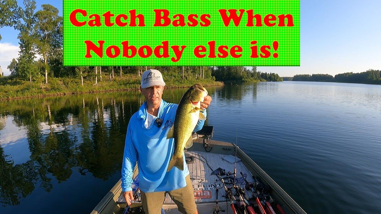 Catch Finicky Summer Bass, Proven Techniques!