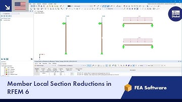 Member Local Section Reductions in RFEM 6