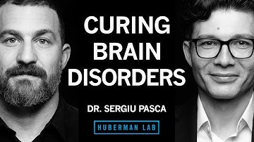 Curing Autism, Epilepsy & Schizophrenia with Stem Cells | Dr. Sergiu Pașca