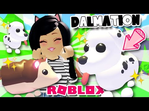 *new*-🖤dalmatian-dog-&-hedgehog🖤pets-in-adopt-me-roblox-dress-your-pet-update