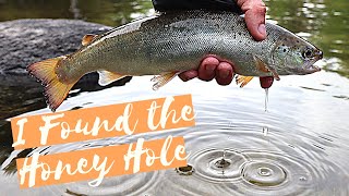 Epic Maine Native Land Locked Salmon + Brook Trout Remote Fly fishing