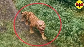 This Mutant Creature Was Found Deep in the Jungle… And It’s Terrifying