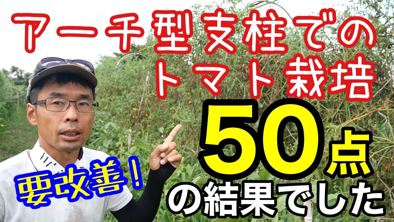 アーチ型支柱でのトマトの半放任栽培結果と改善点について【自然農/ソバージュ栽培/無農薬/ミニトマト/実験】