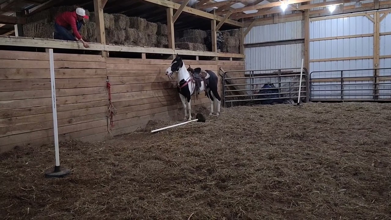 Banjo and Bre playing around