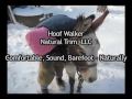 Hoof Walker Natural Trim - Donkey Hoof Rehab January 4 2010