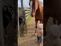 Horse Protects Baby from Angry Goat! 🐴💥👶#HeroHorse #CaughtOnCamera #AnimalInstinct