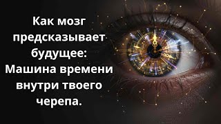 картинка: Как мозг предсказывает будущее?