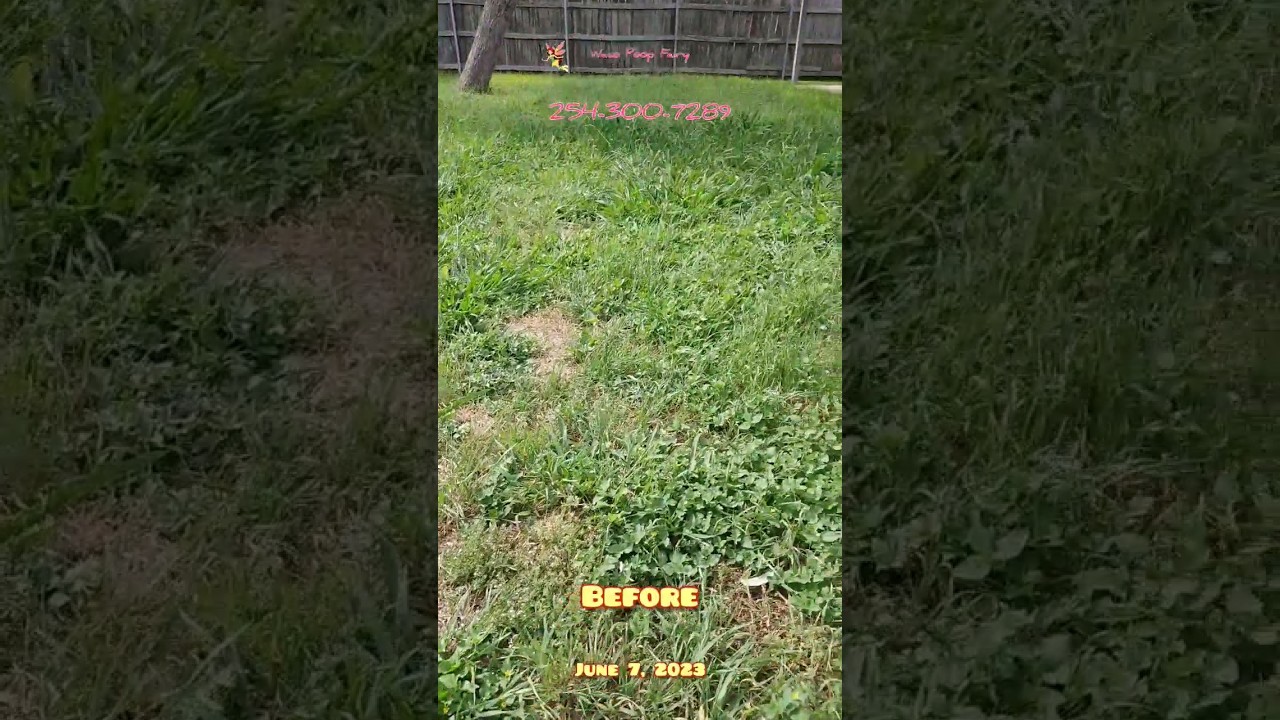 💩Pet Dog Waste Pooper Scooper in Waco TX Is it finally HOT enough for