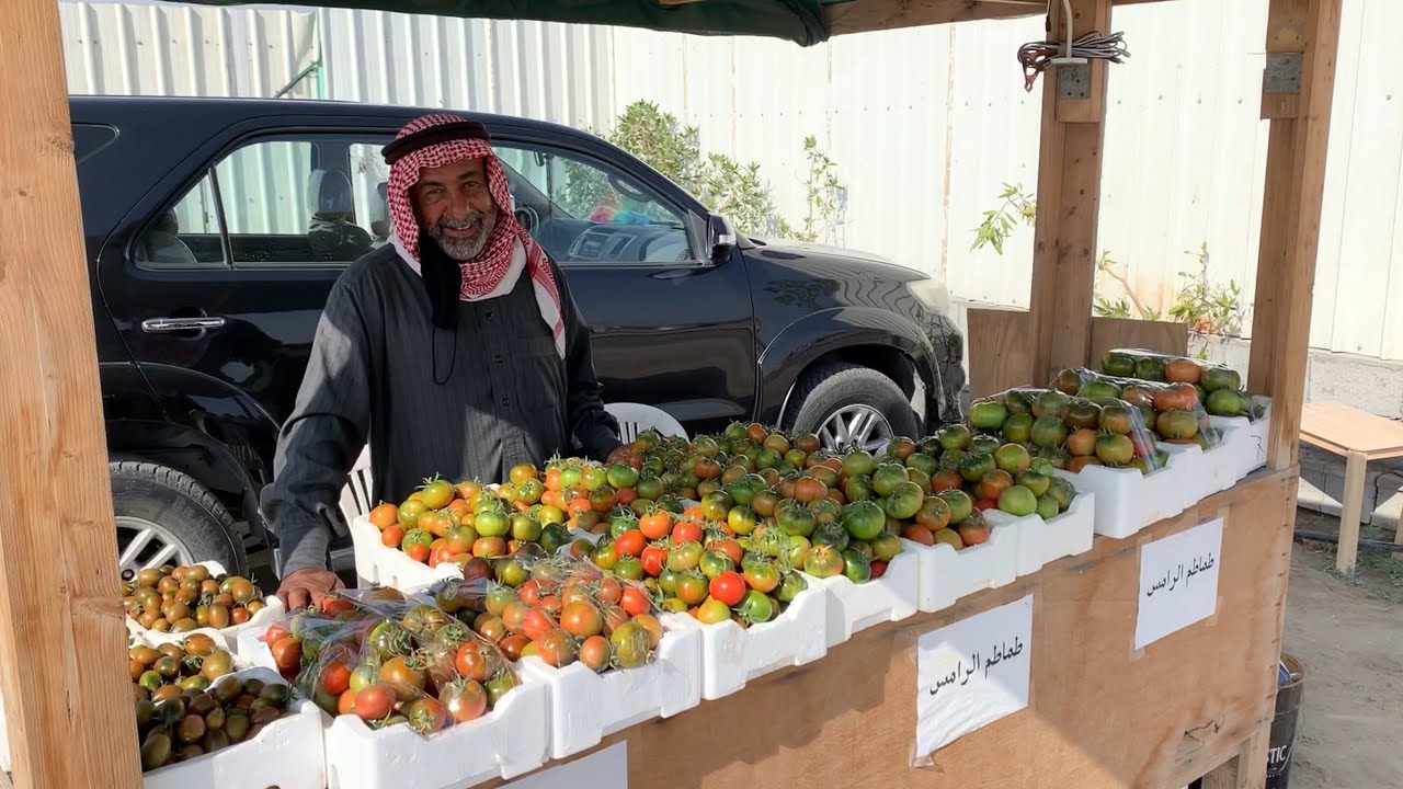 أغلى طماطم في العالم