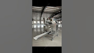 JZ-150 Dumpling machine samosa making machine empanada spring roll ravioli making machine #canmax