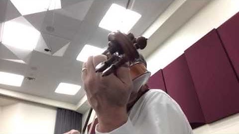 Finale Serenade No.9 Posthorn 1st violin part 1