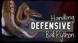 HANDLING DEFENSIVE/HISSING BALL PYTHON
