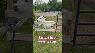 Cooler temps.  Everybody is happy.