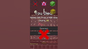 CHICKEN VS BLOCKS🤯😁MINECRAFT MODS SUCKS #minecraft #brainrot