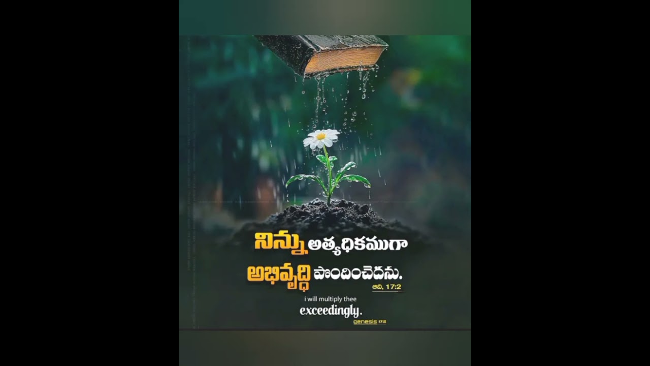 Today's God's promise 🙏🏻 