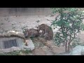 2026.05.18 15:56 アルとベル