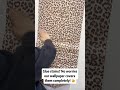 Old Glue Stains on Your Wall? Watch JIFFDIFF Wallpaper Cover Everything