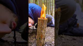 🔥Survival Skills #Survival #Bushcraft #Outdoors #Camping #Woodworking #Asmr #Campfire