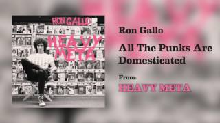 Video thumbnail of "Ron Gallo - "All The Punks Are Domesticated" [Audio Only]"