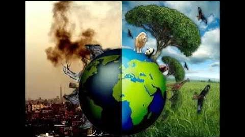 Destruction of the Environment as the Consequence of Overpopulation