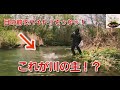 【渓流釣り】小さな川で渓流釣り、川の主登場！？目の前でビックバイト！！