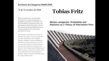 Markov categories: Probability and Statistics as a Theory of Information Flow