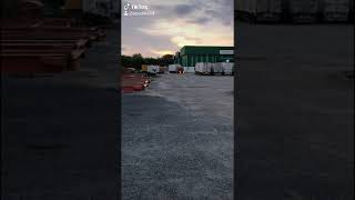 Tiktok Lori Transplace