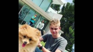 Logan paul Dog King Kong Da Savage Pom ft Whydontwemusic