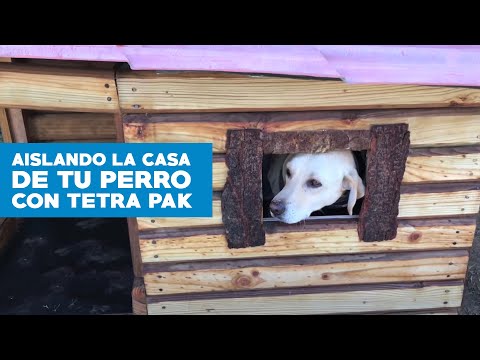 Video: Aislamiento casero para casetas de perro