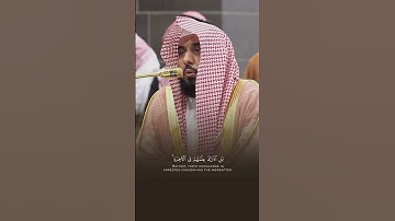 سورة النمل - القارىء عبدالله الجهني